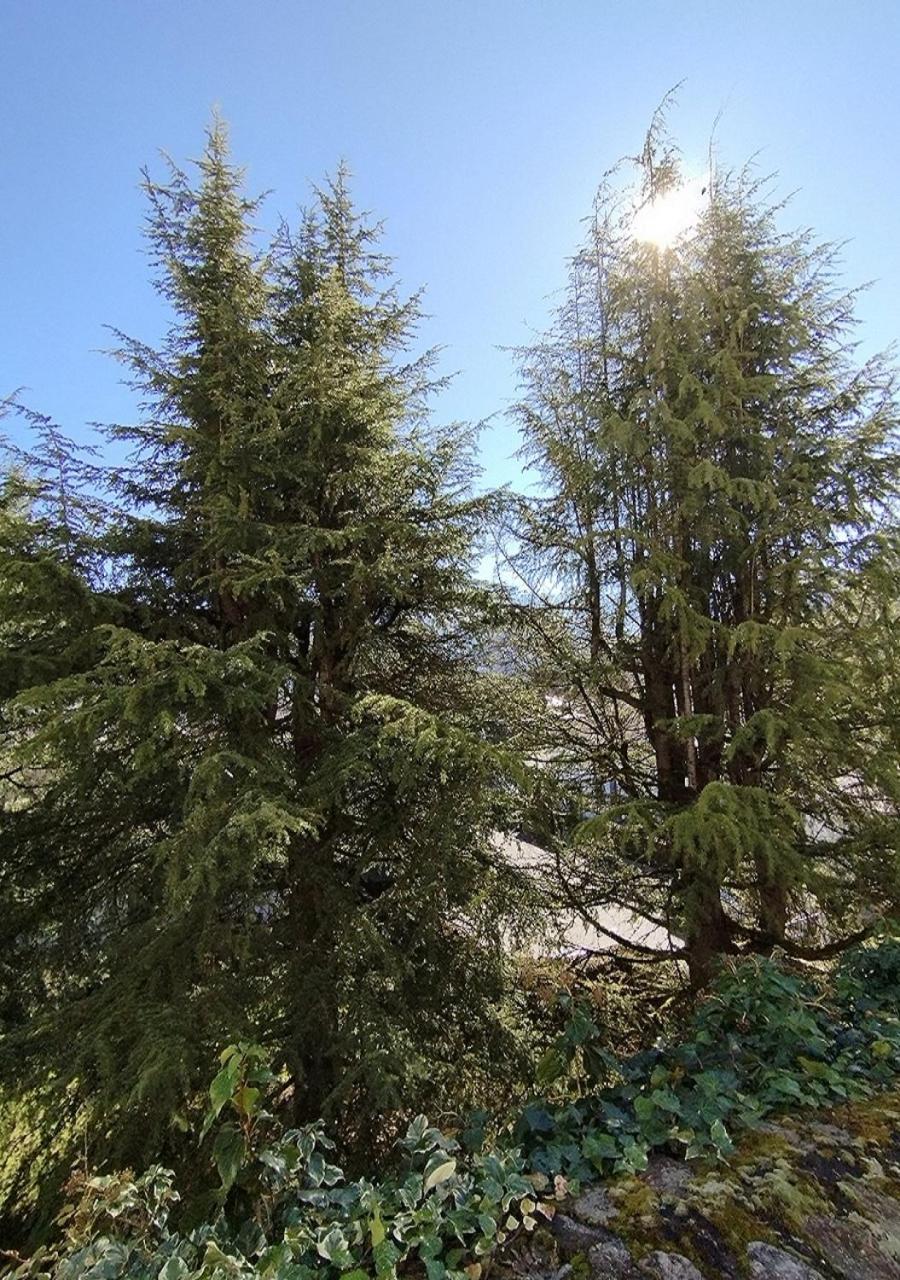 Appartement Le Welcome Argelès-Gazost Εξωτερικό φωτογραφία